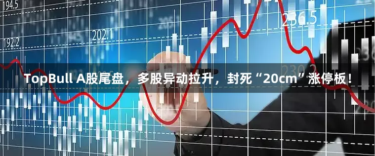 TopBull A股尾盘，多股异动拉升，封死“20cm”涨停板！