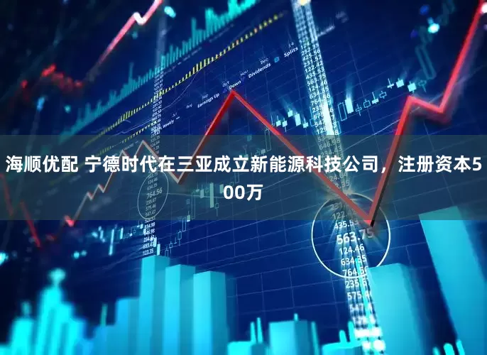 海顺优配 宁德时代在三亚成立新能源科技公司，注册资本500万